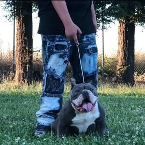 Meet your Posher, David